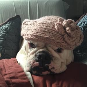 Meet your Posher, Jules